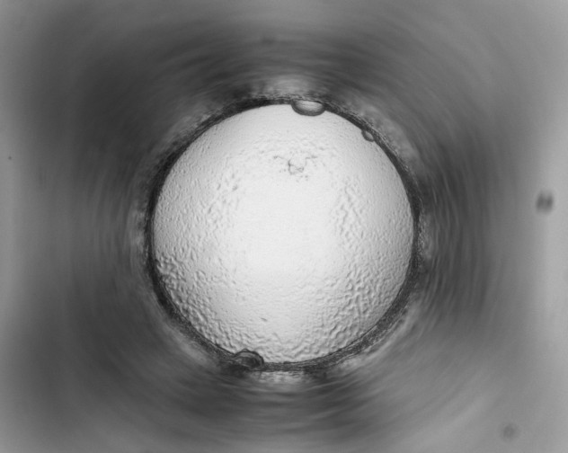 X0000103410449200810031250