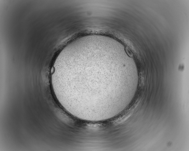 X0000103410450200810031250