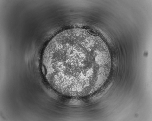 X0000103410451200810031250