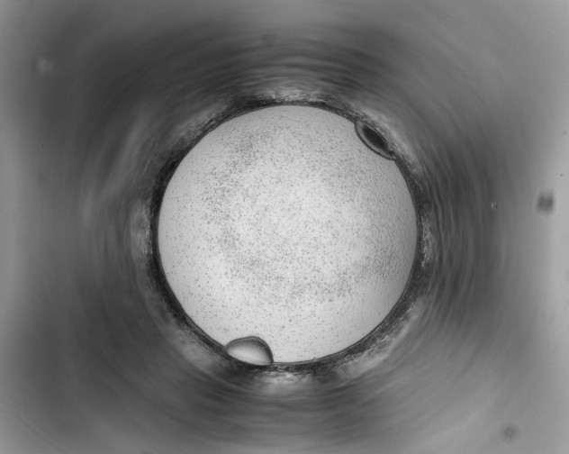 X0000103410453200810031250