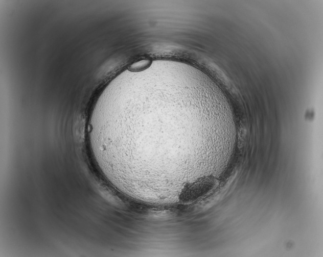 X0000103410454200810031250