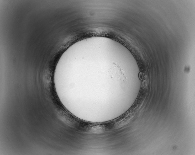 X0000103410456200810031250