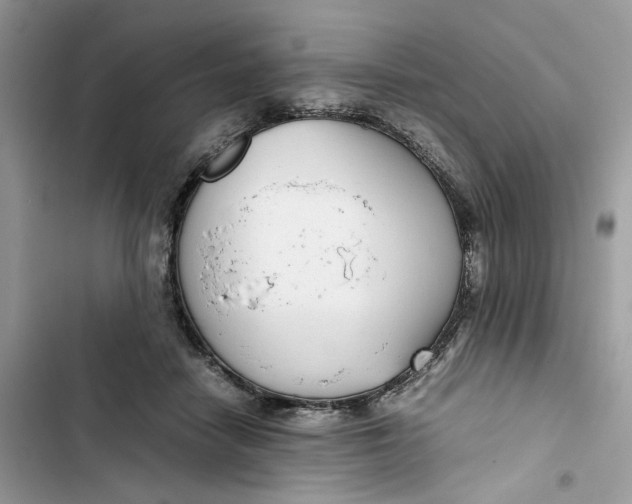 X0000103410458200810031250