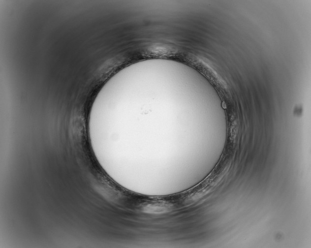 X0000103410459200810031250