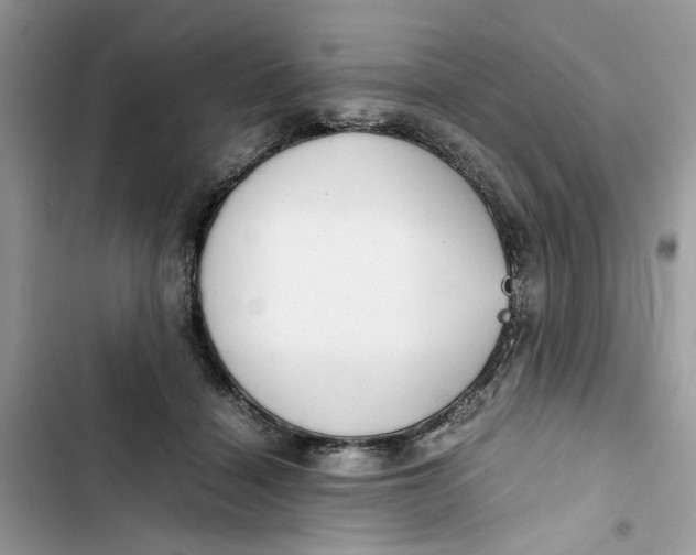 X0000103410460200810031250