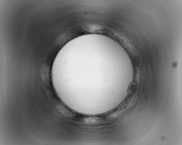 X0000103410461200810031250