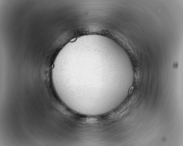 X0000103410462200810031250