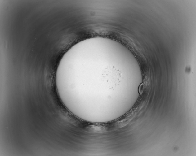 X0000103410464200810031250