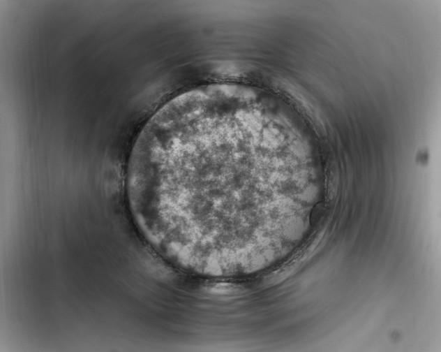 X0000103410467200810031250