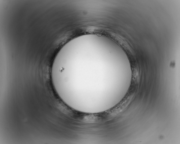 X0000103410470200810031250