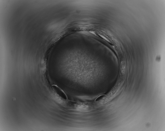 X0000103410471200810031250