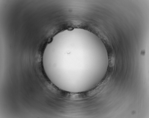 X0000103410472200810031250