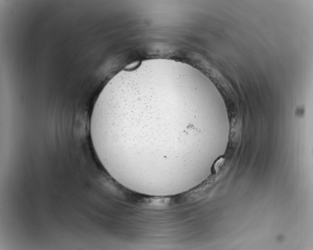 X0000103410474200810031250