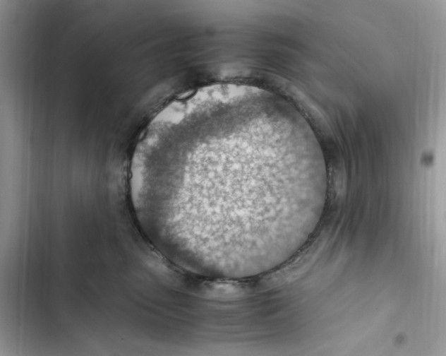 X0000103410475200810031250