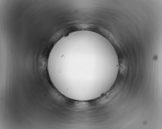 X0000103410476200810031250