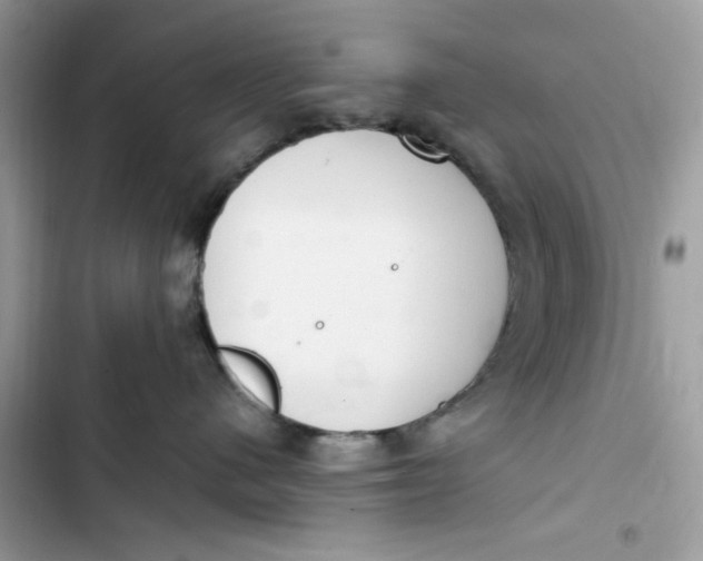 X0000103410480200810031250