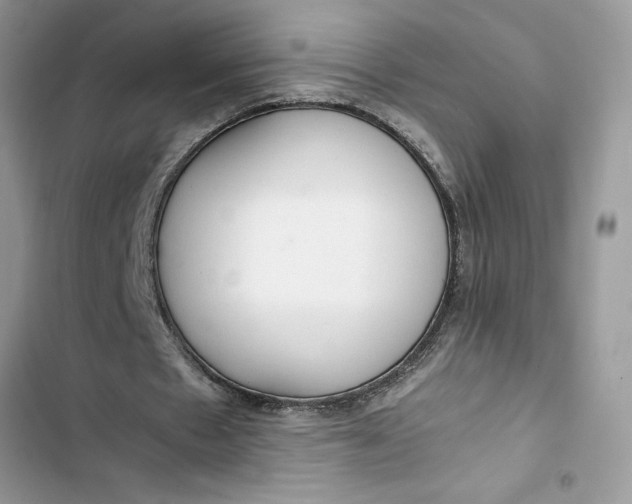 X0000103410481200810031250