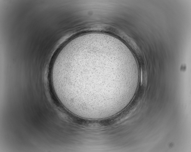 X0000103410483200810031250