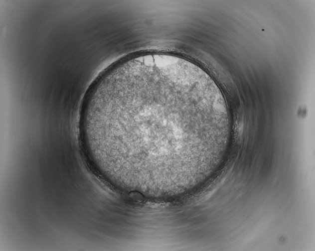 X0000103410484200810031250