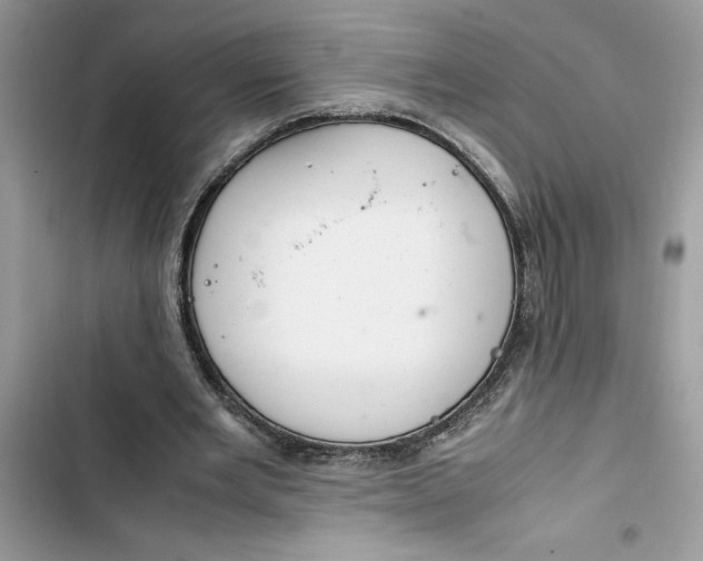 X0000103410485200810031250