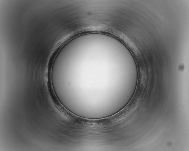 X0000103410486200810031250