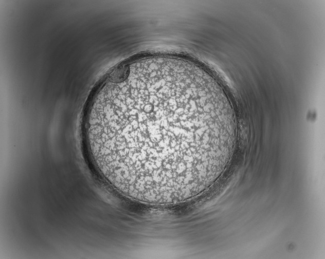 X0000103410487200810031250