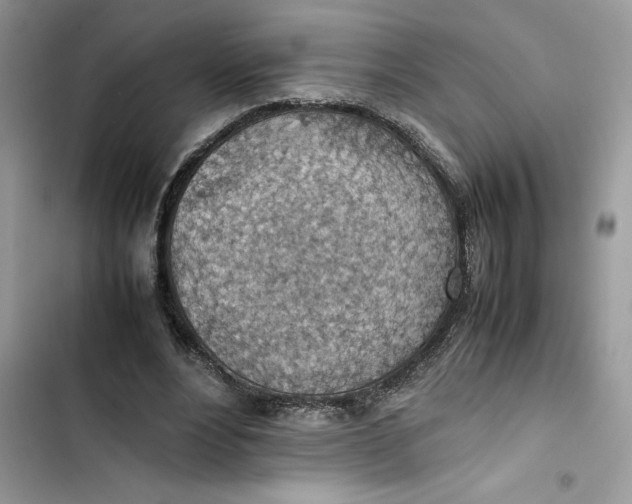 X0000103410488200810031249