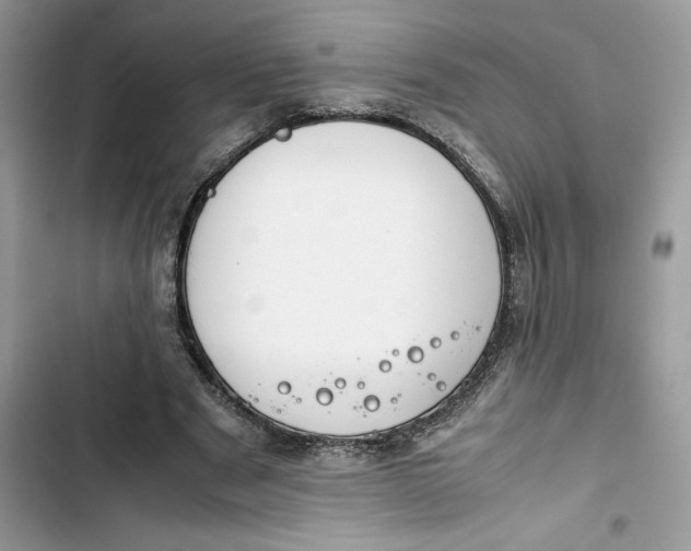 X0000103410489200810031249