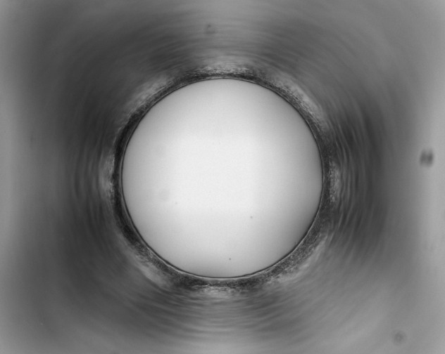 X0000103410490200810031249