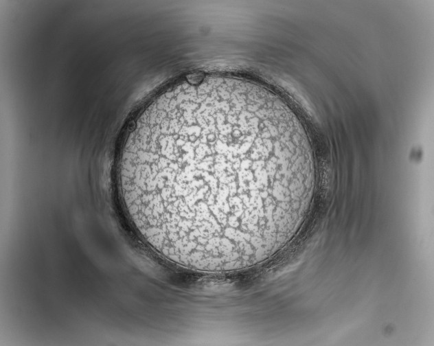 X0000103410491200810031249