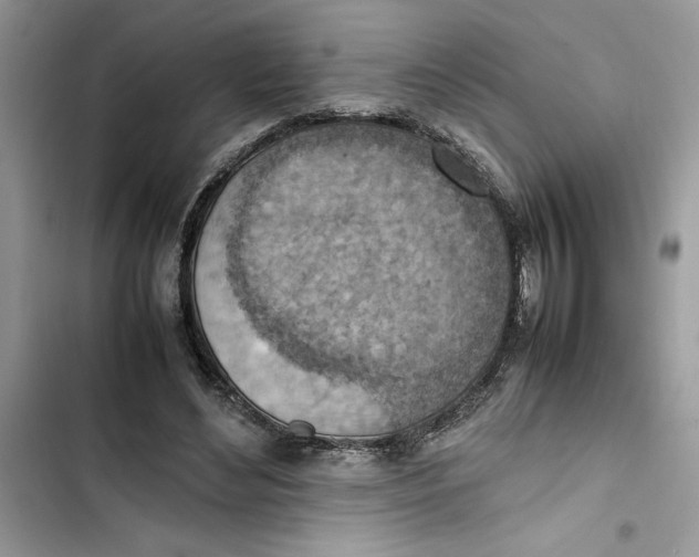 X0000103410492200810031249