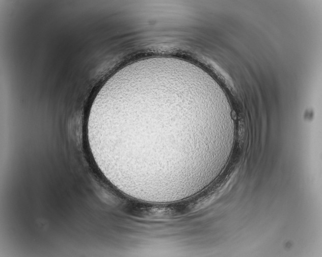 X0000103410493200810031249