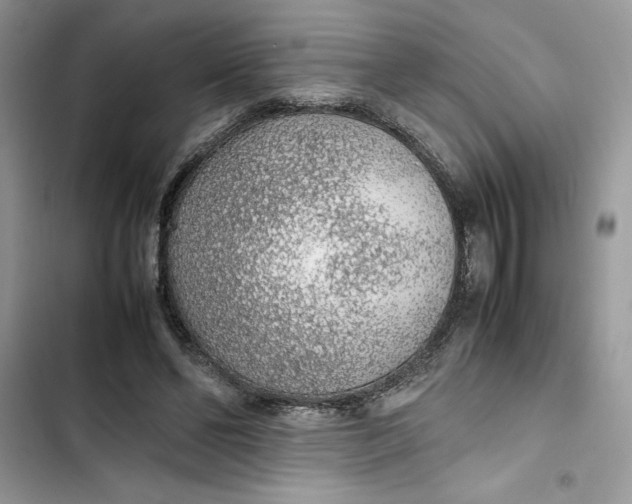 X0000103410494200810031249