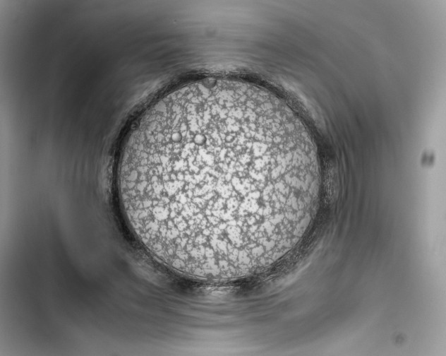 X0000103410495200810031249