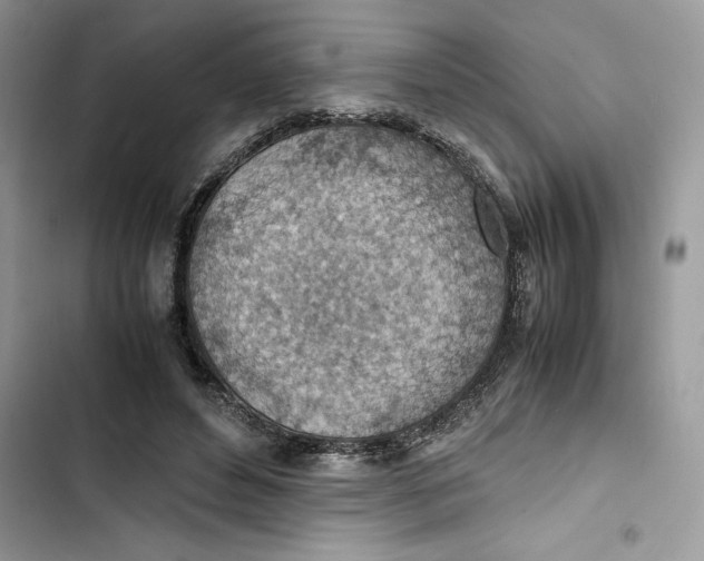 X0000103410496200810031249