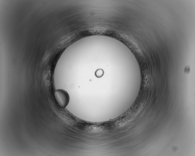 X0000103410498200810031249