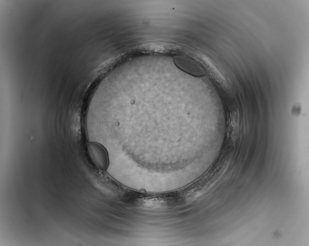 X0000103410500200810031249