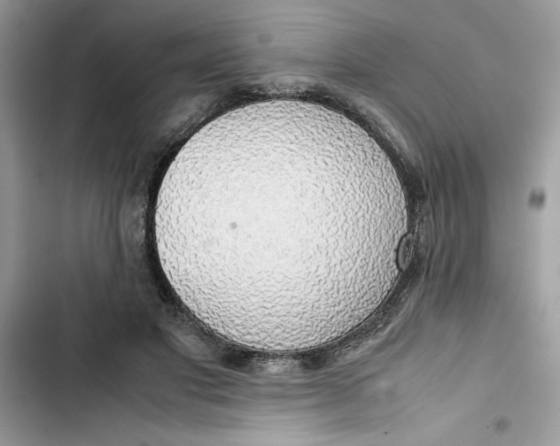 X0000103410501200810031249