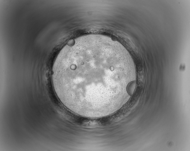 X0000103410503200810031249