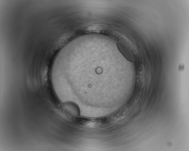 X0000103410504200810031249