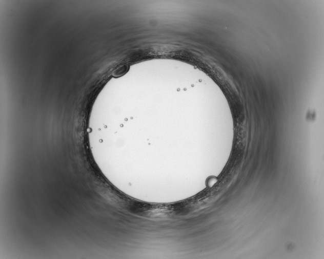 X0000103410505200810031249