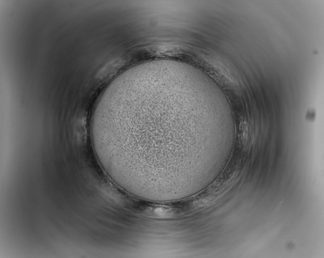 X0000103410506200810031249