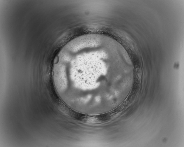 X0000103410507200810031249