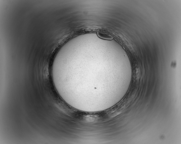 X0000103410508200810031249