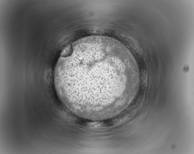 X0000103410511200810031249