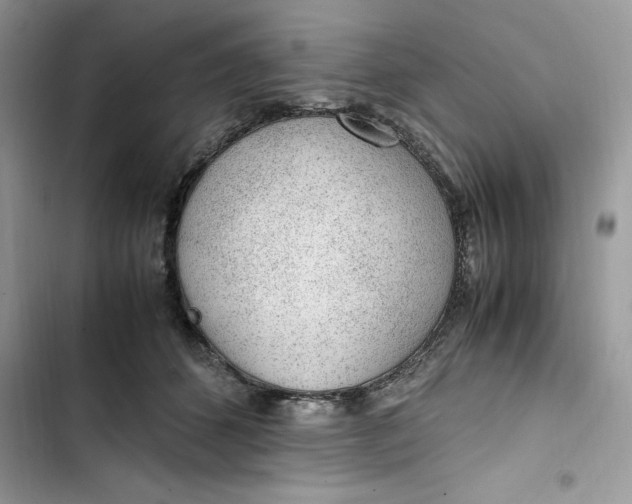 X0000103410512200810031249