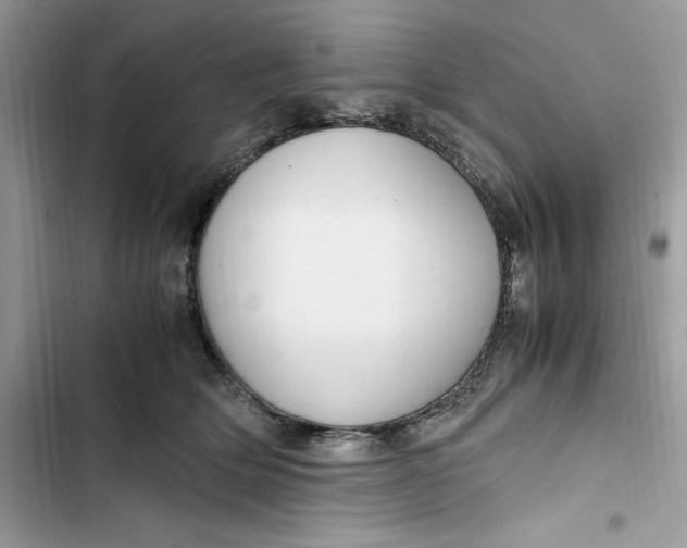 X0000103410514200810031249