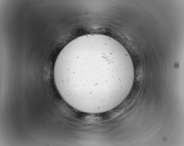 X0000103410515200810031249