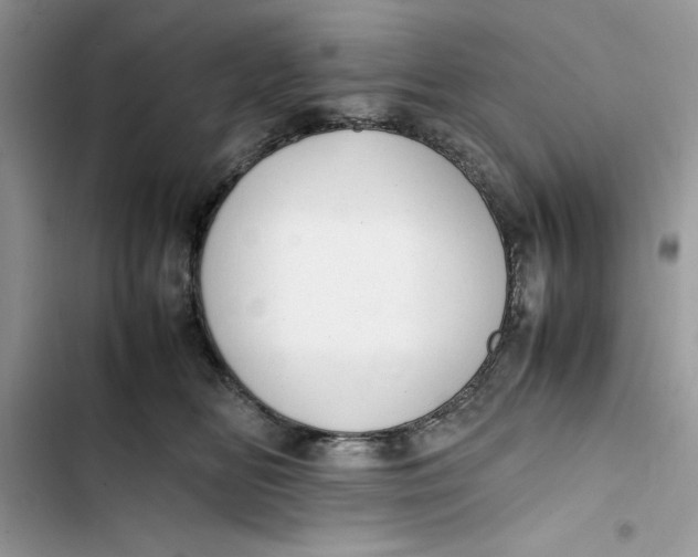 X0000103410518200810031249