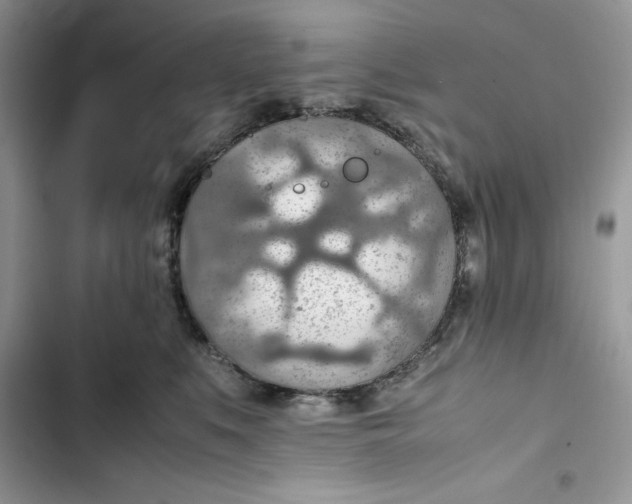 X0000103410519200810031249